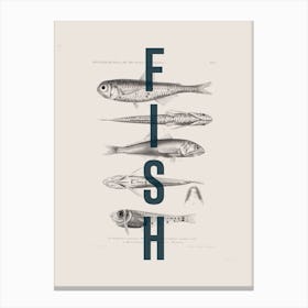 Fish On Fish Canvas Print