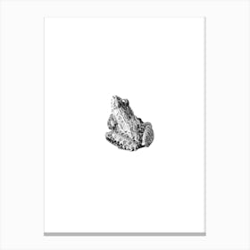 Cute Frog Black and White Boho Art Print Canvas Print