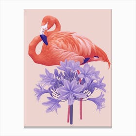 Andean Flamingo And Agapanthus Minimalist Illustration 1 Canvas Print