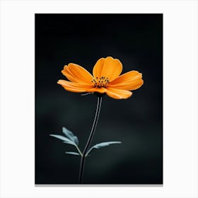 Orange Flower 17 Canvas Print