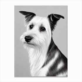 Australian Terrier B&W Pencil dog Canvas Print