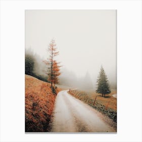 Foggy Mountain Road Canvas Print
