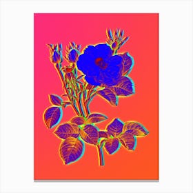 Neon White Rose of York Botanical in Hot Pink and Electric Blue Canvas Print