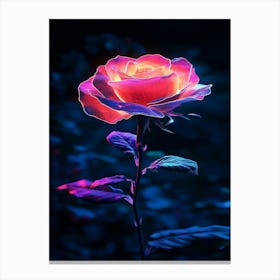 Rose In The Dark 2 Canvas Print