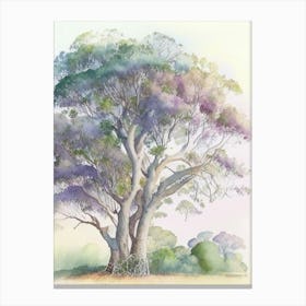 Atherton Tableland S 1, Curtain Fig Tree, Australia Pastel Watercolour Canvas Print