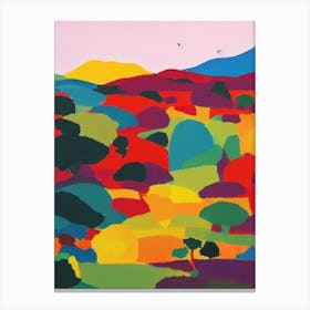 Galapagos National Park Ecuador Abstract Colourful Canvas Print