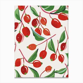 Cranberry Pattern Illustration 3 Canvas Print