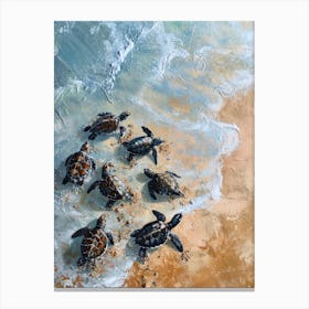 Baby Turtles Making Their Way To The Ocean 2 Canvas Print