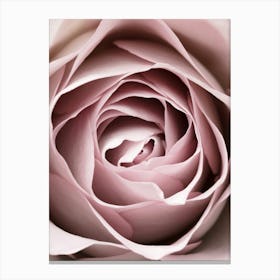 Pink Rose Petal Vintage_2066831 Canvas Print