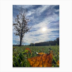 Autumn Leaves On A Grassy Field Canvas Print