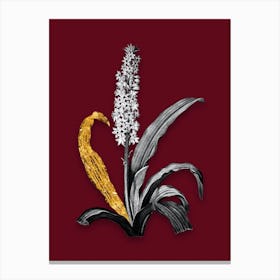 Vintage Eucomis Punctata Black and White Gold Leaf Floral Art on Burgundy Red Canvas Print