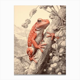 Red Tree Frog Vintage Botanical 9 Canvas Print