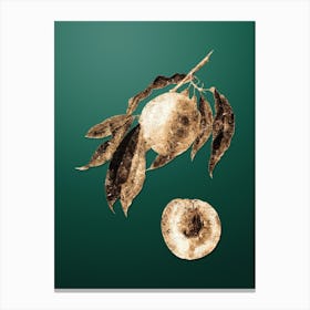 Gold Botanical Peach on Dark Spring Green n.3795 Canvas Print