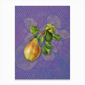Vintage Pear Branch Botanical Illustration on Veri Peri n.0726 Canvas Print