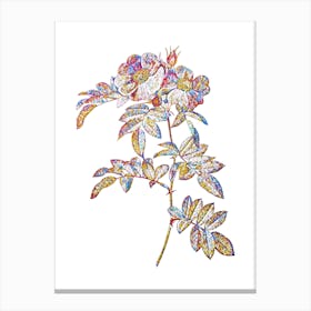 Stained Glass Shining Rosa Lucida Mosaic Botanical Illustration on White n.0252 Canvas Print