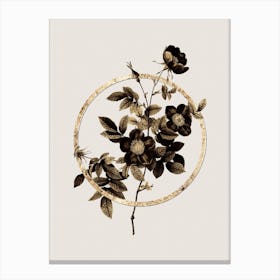 Gold Ring Alpine Rose Glitter Botanical Illustration n.0033 Canvas Print