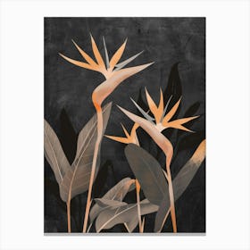 Bird Of Paradise 18 Canvas Print