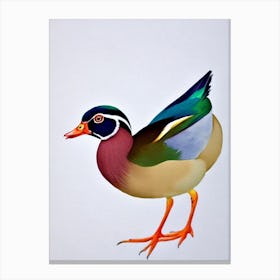 Wood Duck Watercolour Bird Canvas Print