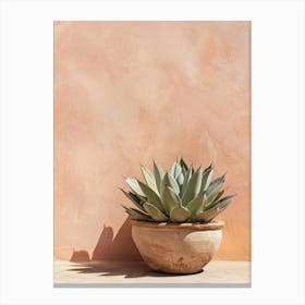 Agave Plant In A Pot 1 Canvas Print