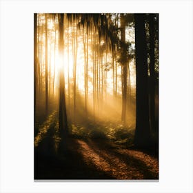 Sunrise In The Forest 4 Canvas Print