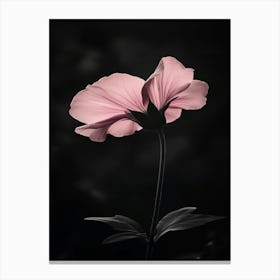 Black And White Flower 1 Canvas Print