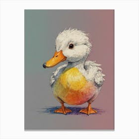Duck! 3 Canvas Print