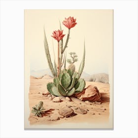 Vintage Cactus Illustration Carnegiea Gigantea 2 Canvas Print
