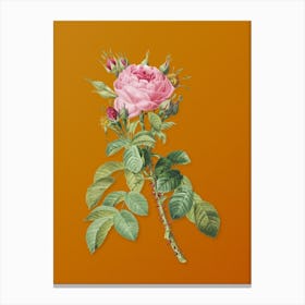 Vintage Lelieur's Four Seasons Rose Botanical on Sunset Orange n.0367 Canvas Print