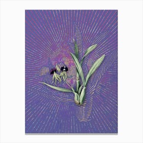Vintage Clamshell Orchid Botanical Illustration on Veri Peri n.0538 Canvas Print