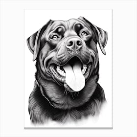 Rottweiler Dog, Line Drawing 4 Canvas Print
