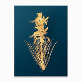 Vintage Yellow Asphodel Botanical in Gold on Teal Blue n.0261 Canvas Print