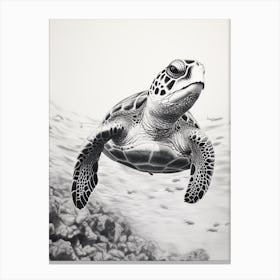 Detailed Black And White Sea Turtle Illustration Canvas Print