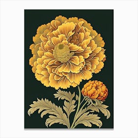 Marigold 3 Floral Botanical Vintage Poster Flower Canvas Print