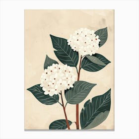 Hydrangea 5 Canvas Print