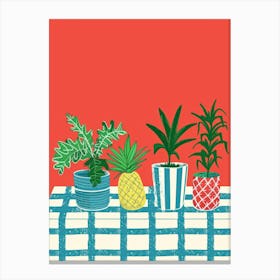 Potted Plants On A Table 1 Canvas Print