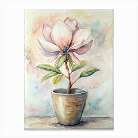 Magnolia 2 Canvas Print