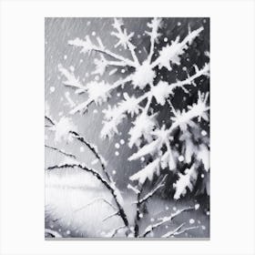 Frost, Snowflakes, Black & White 2 Canvas Print