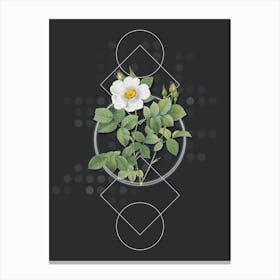 Vintage Twin Flowered White Rose Botanical with Geometric Line Motif and Dot Pattern n.0115 Canvas Print