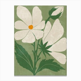 White Daisy Canvas Print