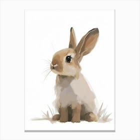 Mini Satin Rabbit Kids Illustration 1 Canvas Print
