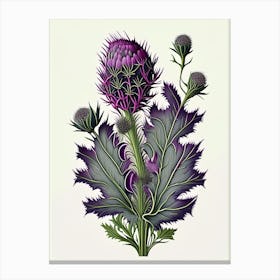 Thistle Wildflower Vintage Botanical 2 Canvas Print