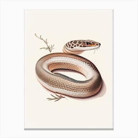 Hognose Snake 1 Vintage Canvas Print