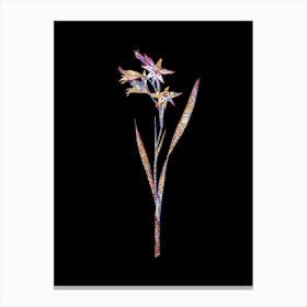Stained Glass Gladiolus Cuspidatus Mosaic Botanical Illustration on Black n.0107 Canvas Print