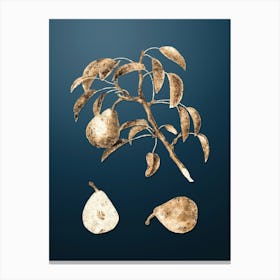 Gold Botanical Pear on Dusk Blue n.4197 Canvas Print