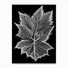 Elm Leaf Linocut 1 Canvas Print