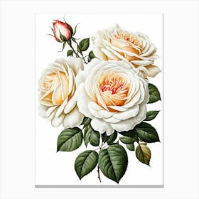 Vintage Galleria Style Rose Art Painting 4 Canvas Print