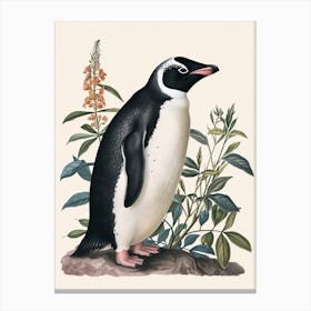 Adlie Penguin Cooper Bay Vintage Botanical Painting 3 Canvas Print