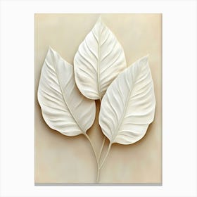 Three White Leaves On A Beige Background Canvas Print