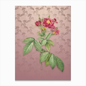Vintage Boursault Rose Botanical on Dusty Pink Pattern n.0598 Canvas Print