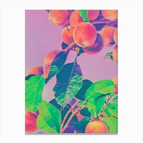 Peach 1 Risograph Retro Poster Fruit Canvas Print